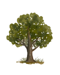 Water Colour Artwork Print - Tree