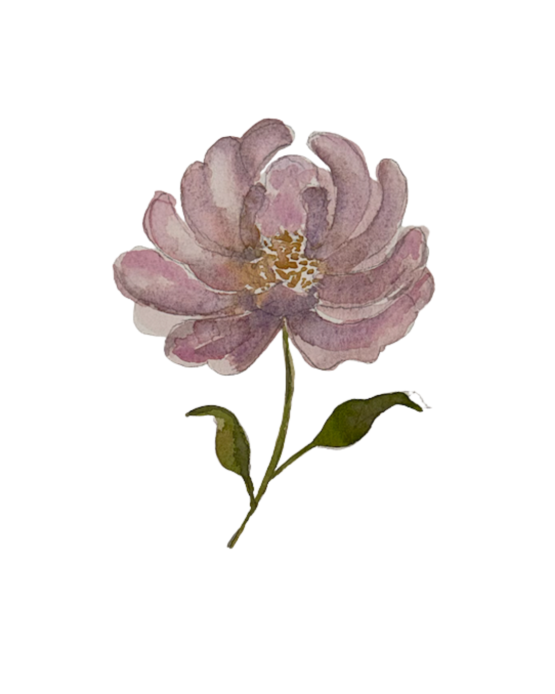 Water Colour Artwork Print - Flower